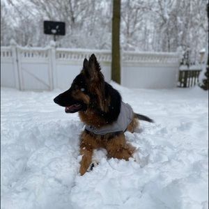 Meet your Posher, Paola